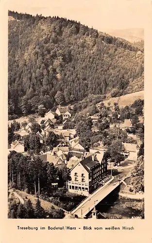 Treseburg/Harz Panorama glca.1965 171.725