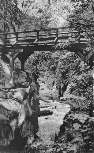 Bodetal/Harz Teufelsbrücke gl1966 171.821