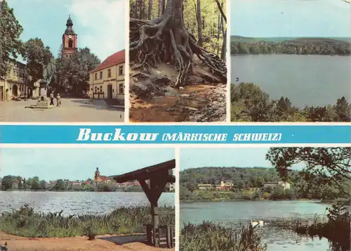 Buckow (Märk. Schweiz) Markt Fichte Seen ngl 171.999