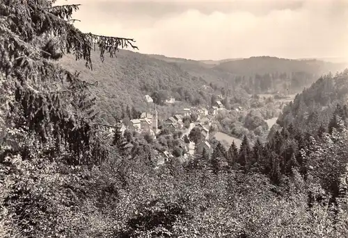 Altenbrak (Harz) Panorama gl1966 172.393