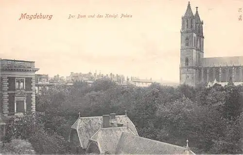Magdeburg Der Dom und das Königl. Palais ngl 173151