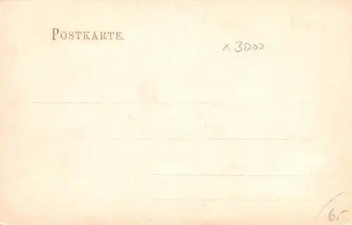 Magdeburg Der Dom und das Königl. Palais ngl 173151