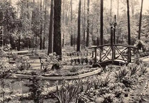 Lindau (Kr. Zerbst) Park gl1970 173.245