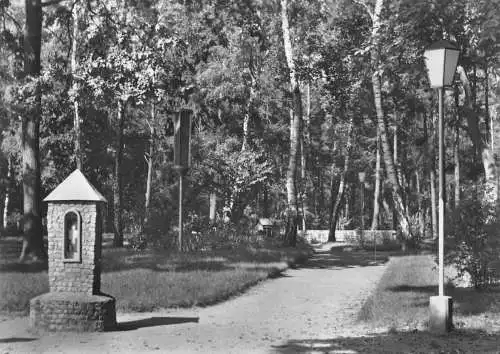 Lindau (Kr. Zerbst) Diät-Sanatorium gl1970 173.244
