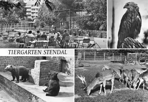 Stendal Tiergarten gl1985 173.278