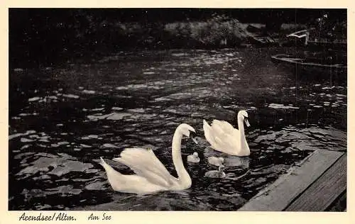Arendsee/Altmark Am See ngl 173.304
