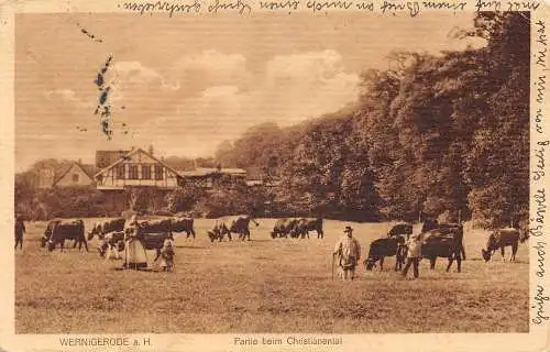 Wernigerode Partie beim Christianenthal gl1917 173.468