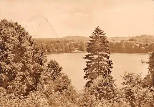 Chorin Blick von der Klosterschenke ngl197. 173.513