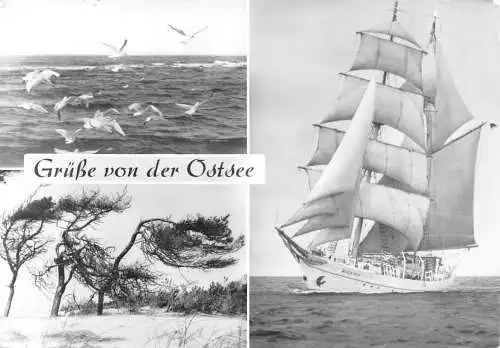 Grüße von der Ostsee, Mehrbildkarte gl1980 173.752