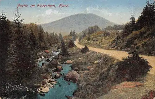 Benneckenstein/Harz Partie im Eckerloch gl 174.045