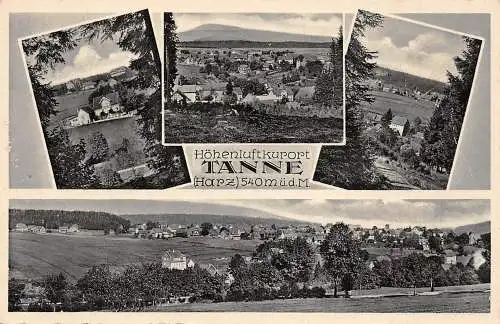 Tanne Mehrbildkarte gl 174.052