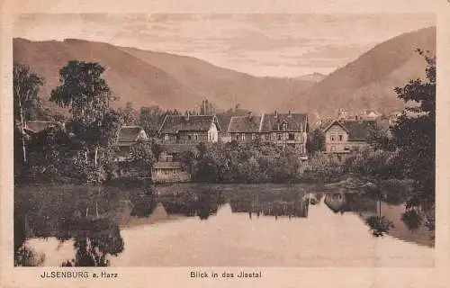 Ilsenburg (Harz) Blick in das Ilsetal ngl 174.103