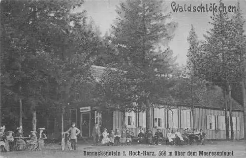 Benneckensatein/Harz Waldschlößchen feldpgl1917 174.088