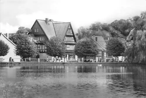 Ilsenburg (Harz) Forellenteich ngl 174.098