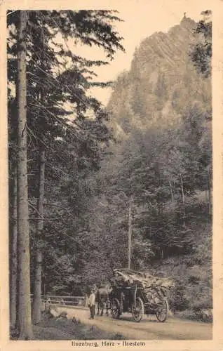 Ilsenburg (Harz) Ilsenstein ngl 174.116