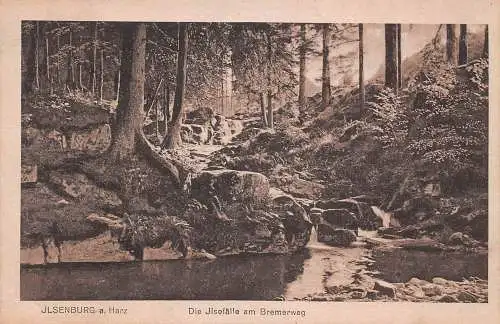 Ilsenburg (Harz) Ilsefälle am Bremerweg ngl 174102