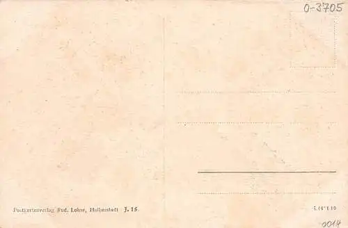 Ilsenburg (Harz) Ilsefälle am Bremerweg ngl 174102