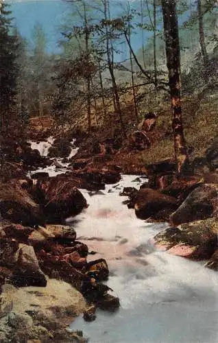 Ilsenburg (Harz) Ilsefälle ngl 174.119