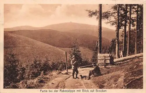 Brocken Harz Partie bei der Rabenklippe ngl 174.169