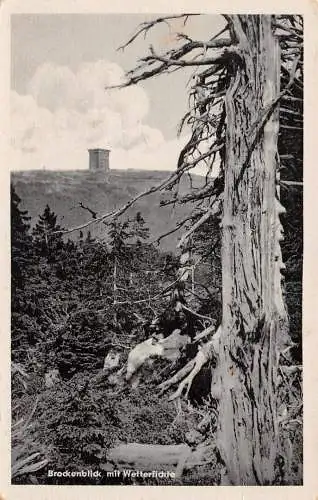 Brocken Harz Brockenblick mit Wetterfichte ngl 174.167