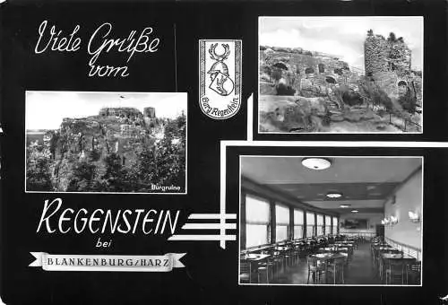 Blankenburg / Harz Burgruine Regenstein gl1987 174.233