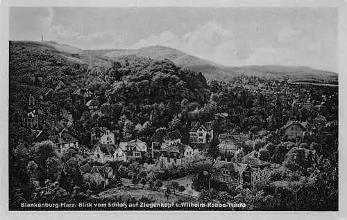 Blankenburg (Harz) Blick vom Schloss auf Ziegenkopf ngl 174.264