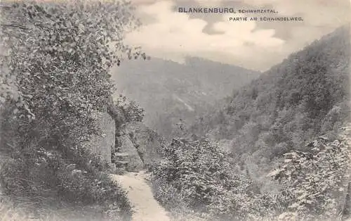 Blankenburg (Harz) Partie am Schwindelweg ngl 174.263