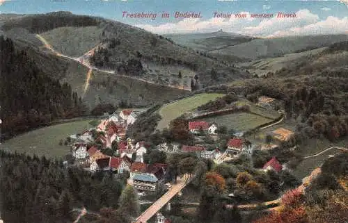 Treseburg (Harz) Totale vom weissen Hirsch gl1913 174.277