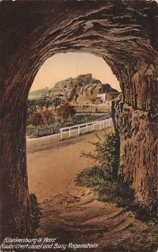 Blankenburg (Harz) Raubrittertunnel und Burg Regenstein ngl 174.269