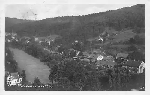 Altenbrak (Harz) Panorama gl1930 174.299