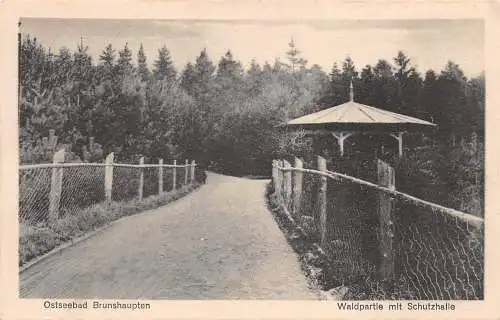 Brunshaupten Waldpartie mit Schutzhalle ngl 174.338