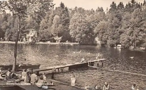 Hasselfelde/Harz Waldfreibad ngl 174.418
