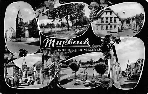 Mußbach a.d.W. Mehrbildkarte gl1965 174.481