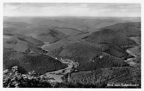 Waldkatzenbach i. Odw. Blick vom Katzenbuckel ngl 174.496