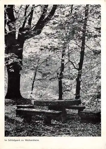Weikersheim (Taubertal) Im Schloßpark gl1968 174.559