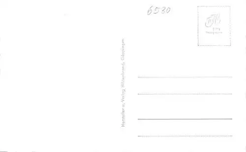 Bingen a.R. mit Basilika und Burg Klopp ngl 174.623