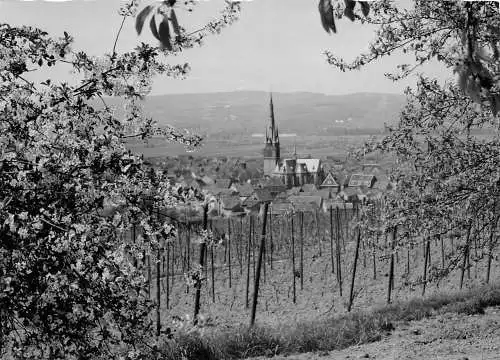 Gau-Algersheim Panorama Fotokarte ngl 174.640