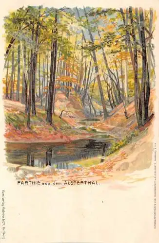 Hamburg Parthie aus dem Alsterthal ngl 174.917