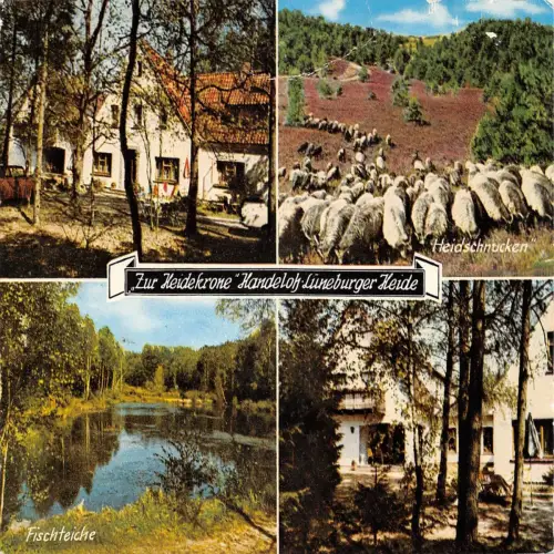 Handeloh Hotel "Zur Heidekrone" Mehrbildkarte ngl 175.078