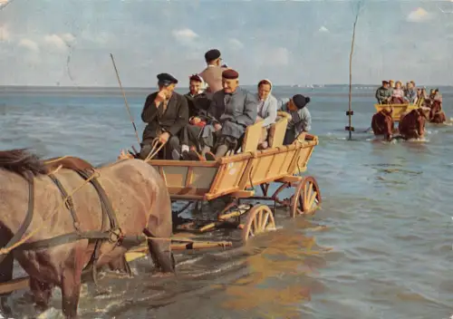 Cuxhaven-Duhnen Wattwagen im Priel gl1961 175.102
