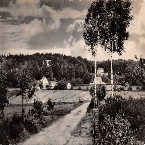 Bendestorf Lüneburger Heide gl1959 175.158