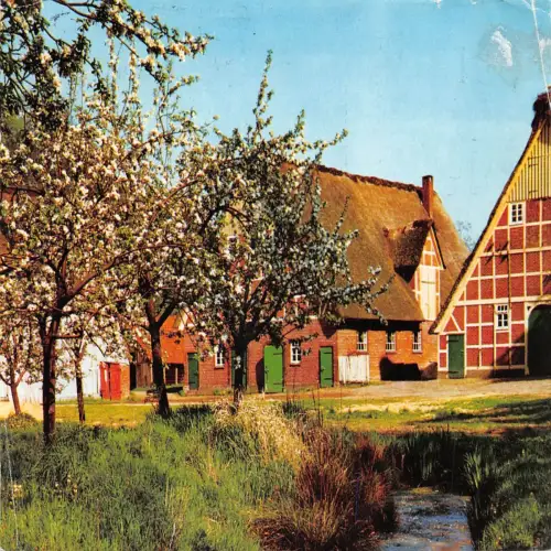 Stade Frühling im Alten Land gl1980 175.167