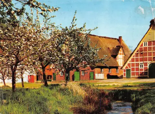 Stade Frühling im Alten Land gl1980 175.167