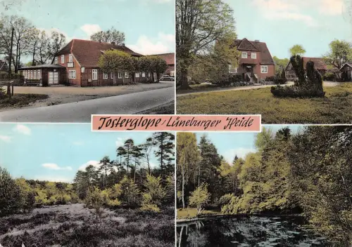 Tosterglope Pension Hachmeister gl1965 175.177