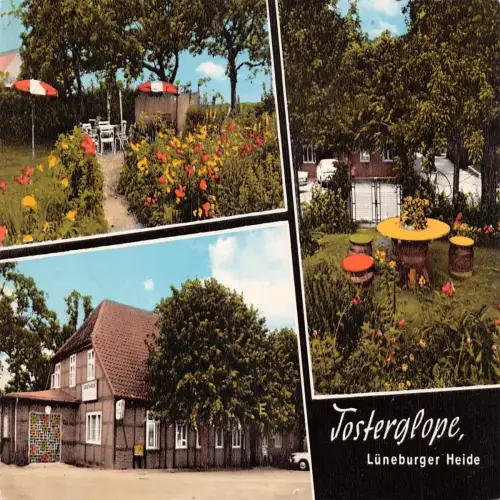 Tosterglope Pension Hachmeister gl1968 175.186