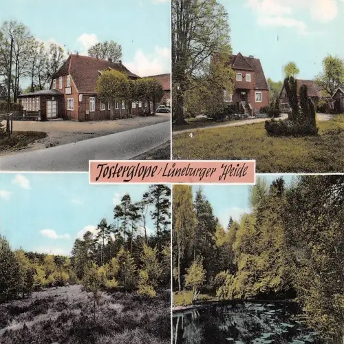 Tosterglope Pension Hachmeister gl1966 175.205