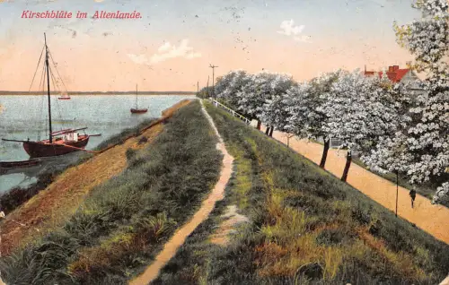 Altenlande Kirschblüte gl1918 175.187