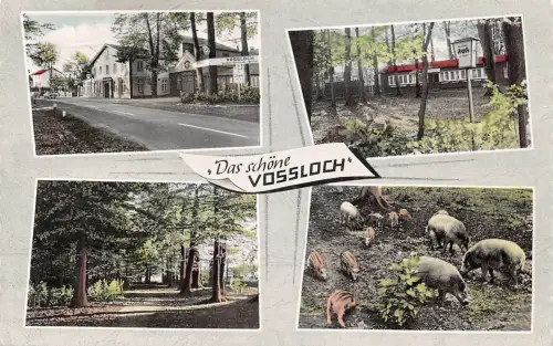 Vossloch b. Elmshorn, Hotel u.Restaurant zum grünen Wald gl1965 175.349