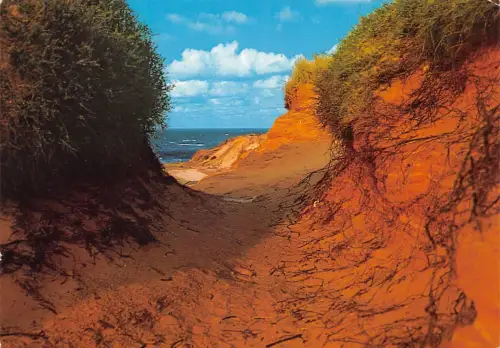 Sylt Naturschutzgebiet Morsum-Kliff gl 175.391
