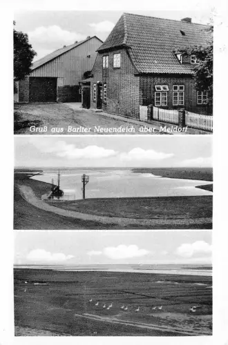 Barlter Neuendeich Hof Jungclaus gl1959 175.403